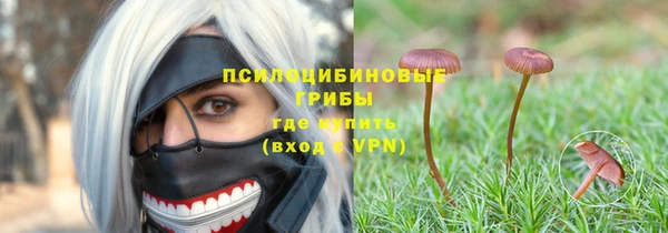 apvp Пестово