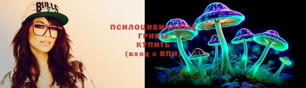 spice Покачи