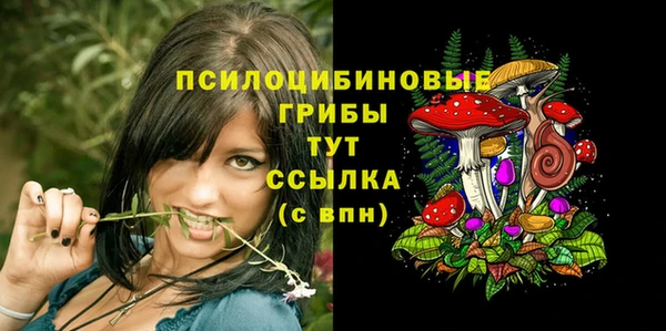 PSILOCYBIN Вязьма