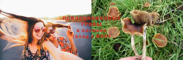 мдпв Покров