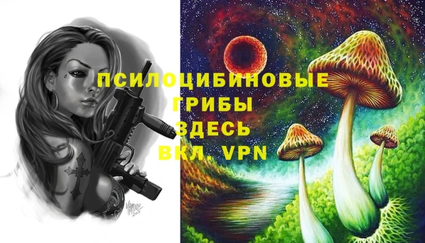 apvp Пестово