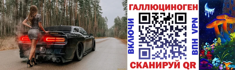 кракен вход  Чишмы  Псилоцибиновые грибы мицелий 